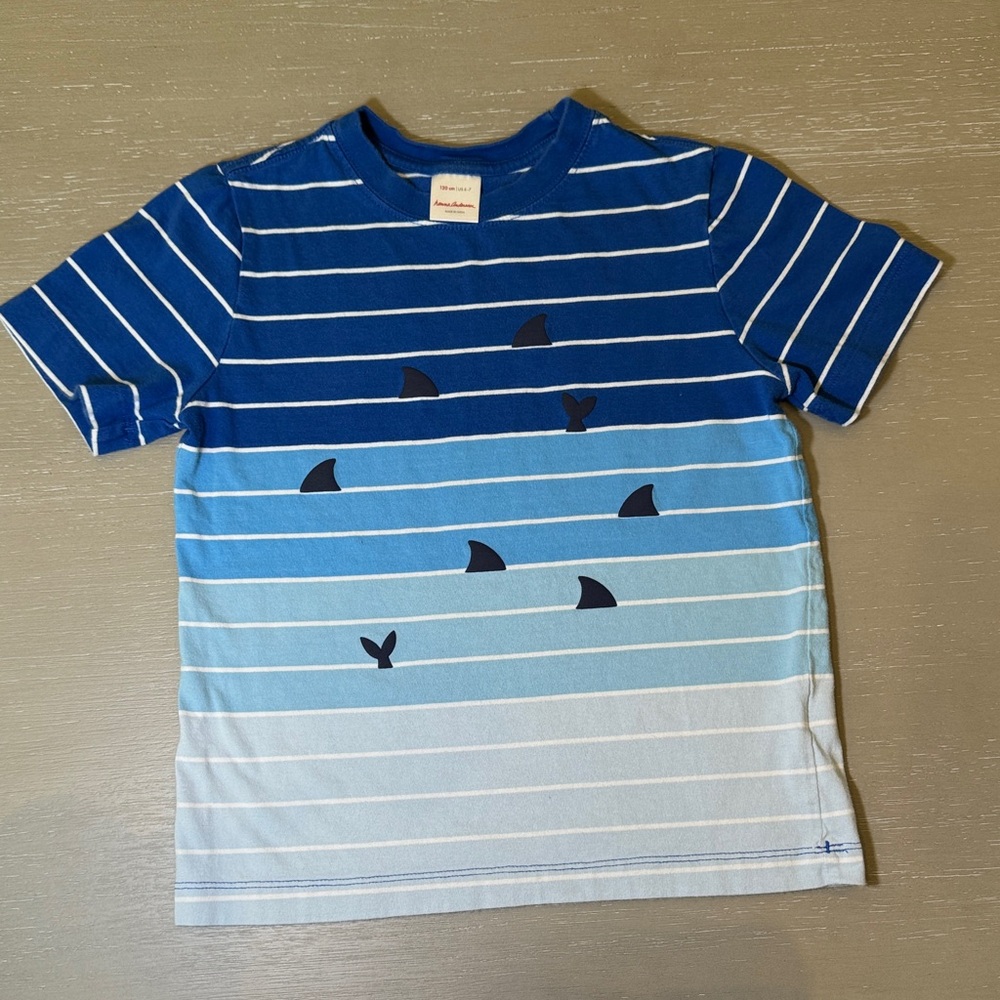 Hanna Andersson Blue Gradient Shark Fin Tee
